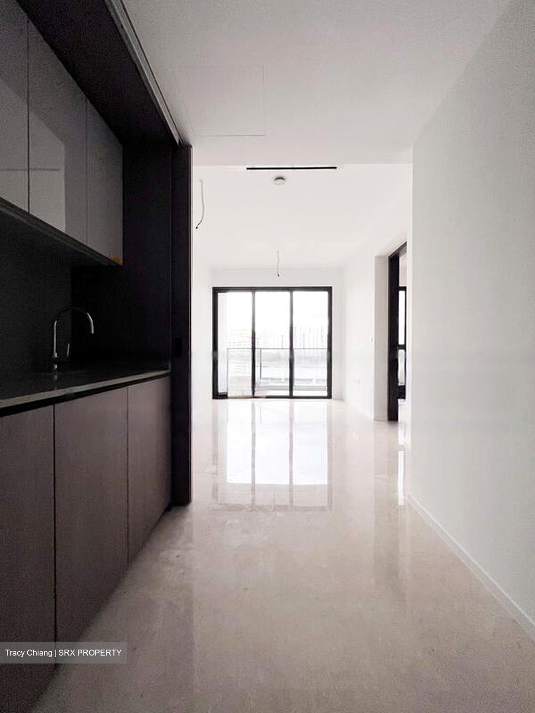 Avenue South Residence (D3), Apartment #457402501